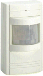 Motion Detector Video Camera