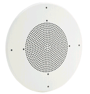 Ceiling Speaker Hidden Camera