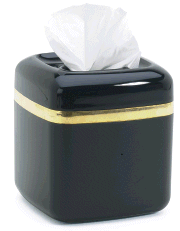 Wireless Tissue Box Hidden Camera