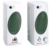 Wireless Computer Speaker Hidden Camera