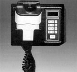 Biometric Identification