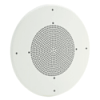 Ceiling Speaker Hidden Camera (B/W)