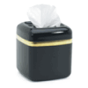 Wireless Tissue Box Hidden Camera (B/W)