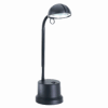 Halogen Task Lamp Hidden Camera (Color)
